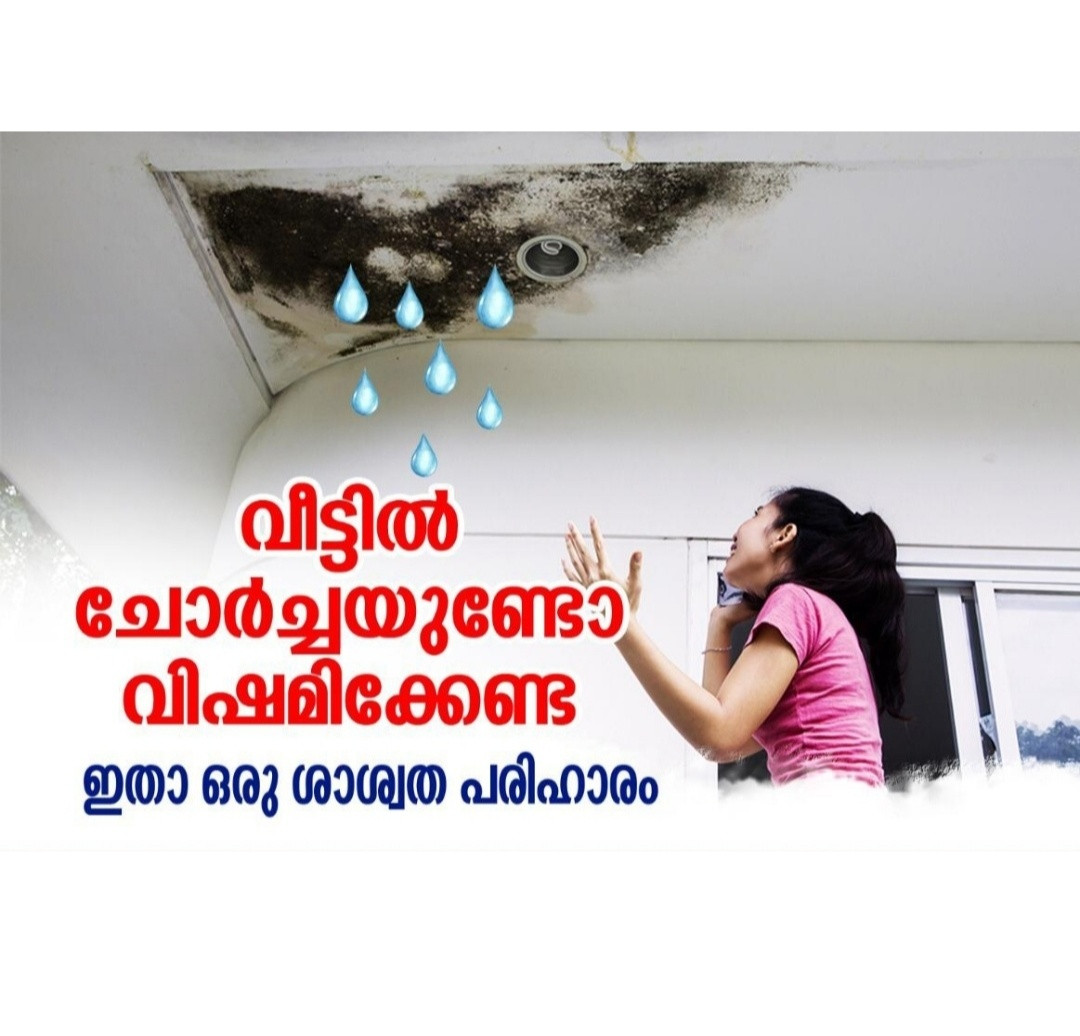 Aqua Shield Water Proofing